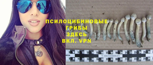 мдпв Кукмор