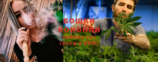 мдпв Кукмор