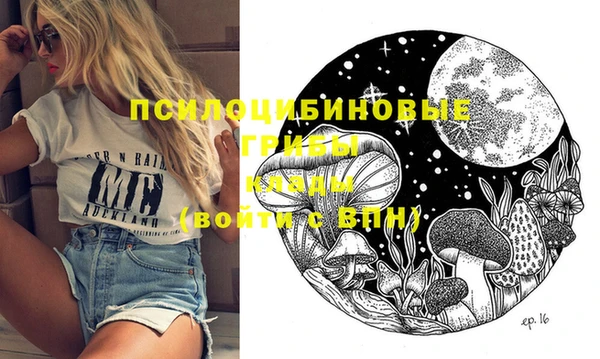 мдпв Кукмор