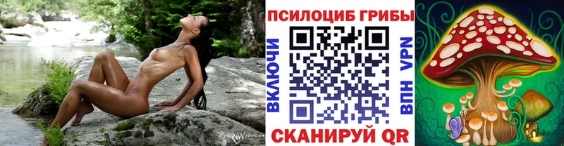 Купить  Кохма  Галлюциногенные грибы прущие грибы 